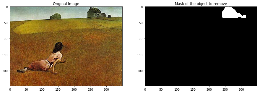 Mask of the object to remove