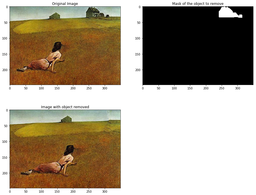 Mask of the object to remove