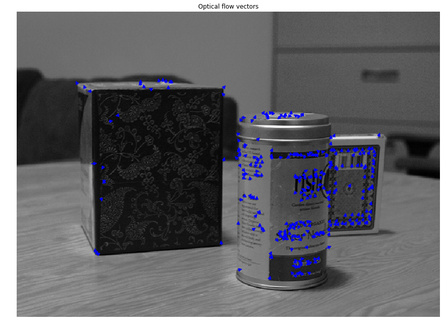 Optical flow vectors