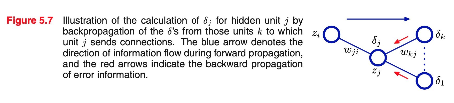 backward-propagation